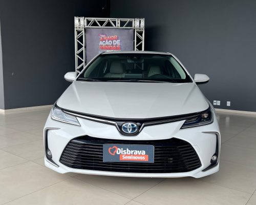 WhatsApp Image 2026-03-27 at 11.46.19 (2)