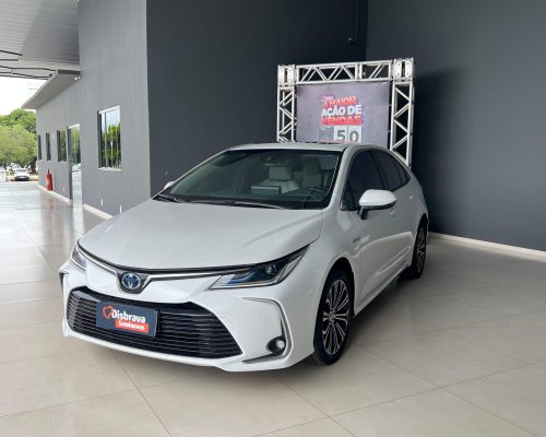 WhatsApp Image 2026-03-27 at 11.46.19