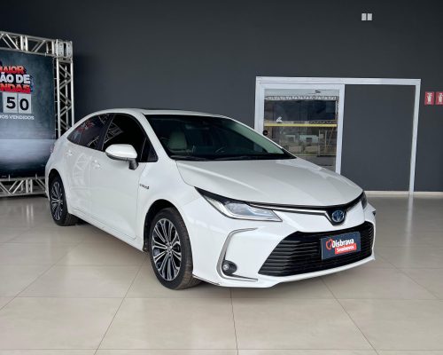 WhatsApp Image 2026-03-27 at 11.46.20